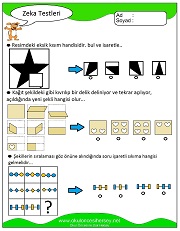 Zeka Gelişim Testleri